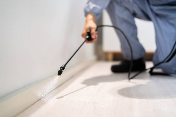 Licensed Mosquito Control service in Portsmouth, NH - Nex Pest Control