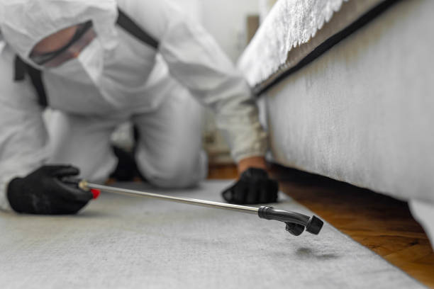 Professional Mosquito Control technician working in Portsmouth, NH