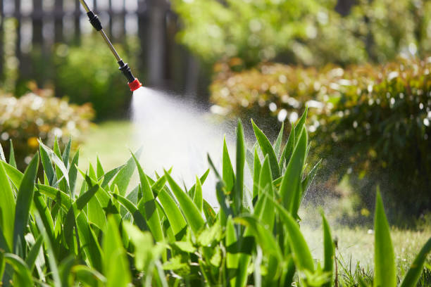 24/7 Emergency Mosquito Control experts in Portsmouth, NH