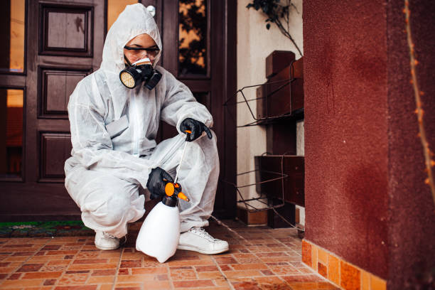 Reliable Mosquito Control contractor in Portsmouth, NH by Nex Pest Control