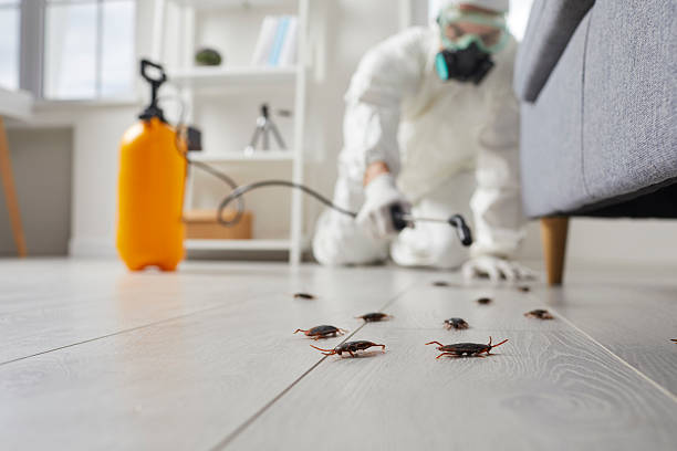 Trusted Cockroach Control service in Portsmouth, NH - Nex Pest Control