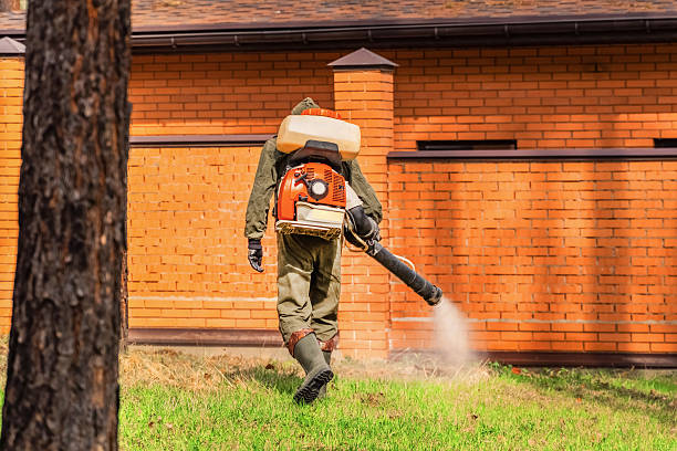 Trusted Termite Control service in Portsmouth, NH - Nex Pest Control